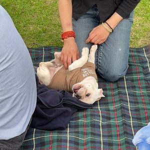 Meet your Posher, Gary